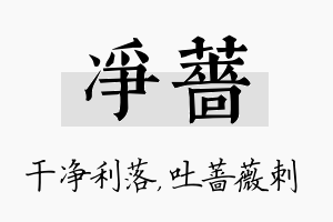 净蔷名字的寓意及含义