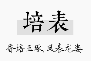 培表名字的寓意及含义