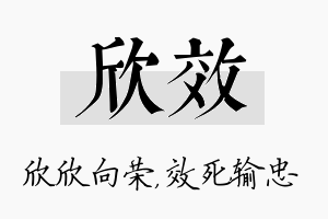 欣效名字的寓意及含义