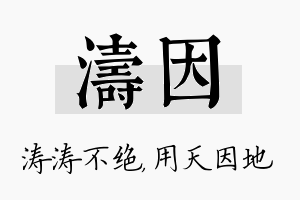 涛因名字的寓意及含义