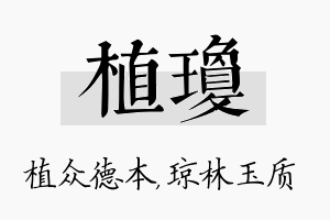 植琼名字的寓意及含义