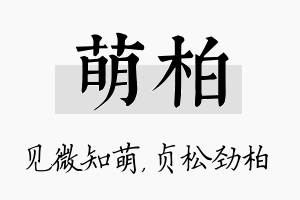 萌柏名字的寓意及含义