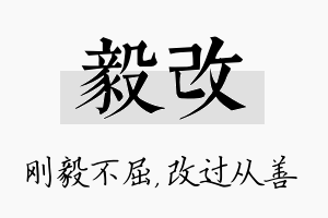 毅改名字的寓意及含义