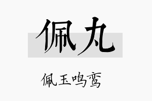 佩丸名字的寓意及含义