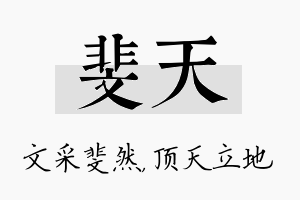 斐天名字的寓意及含义