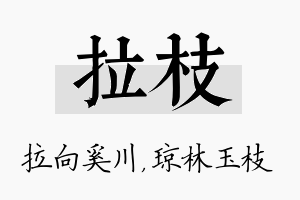 拉枝名字的寓意及含义