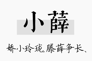 小薛名字的寓意及含义