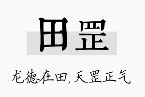 田罡名字的寓意及含义