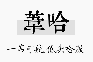 苇哈名字的寓意及含义