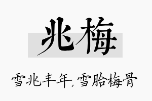 兆梅名字的寓意及含义