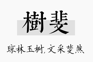 树斐名字的寓意及含义