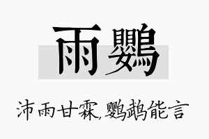 雨鹦名字的寓意及含义