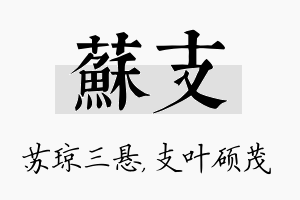 苏支名字的寓意及含义