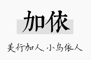 加依名字的寓意及含义