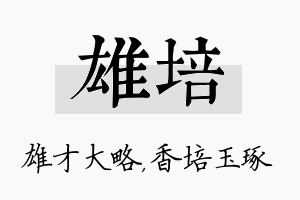 雄培名字的寓意及含义