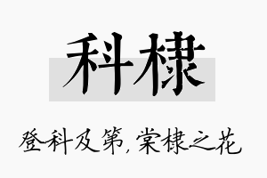 科棣名字的寓意及含义