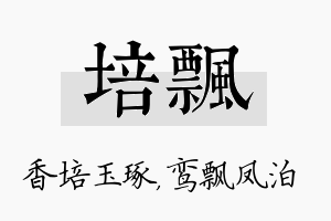 培飘名字的寓意及含义