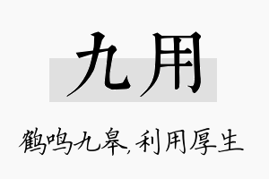 九用名字的寓意及含义