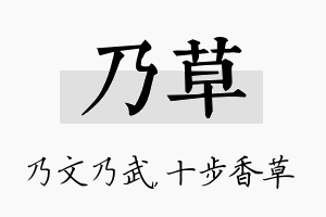 乃草名字的寓意及含义