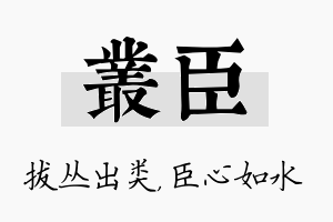 丛臣名字的寓意及含义