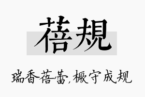 蓓规名字的寓意及含义