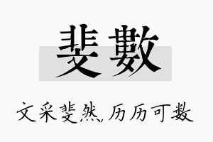 斐数名字的寓意及含义