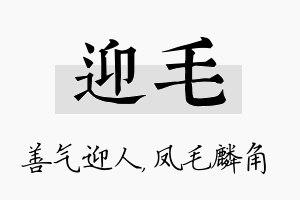 迎毛名字的寓意及含义