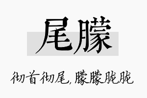 尾朦名字的寓意及含义