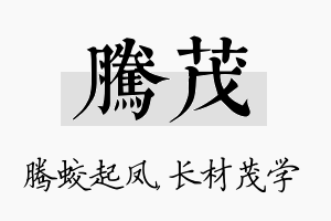 腾茂名字的寓意及含义