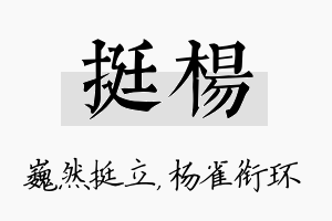 挺杨名字的寓意及含义