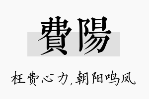 费阳名字的寓意及含义