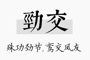 劲交名字的寓意及含义