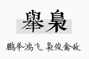 举枭名字的寓意及含义