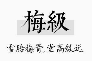 梅级名字的寓意及含义