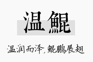 温鲲名字的寓意及含义