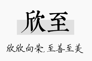 欣至名字的寓意及含义