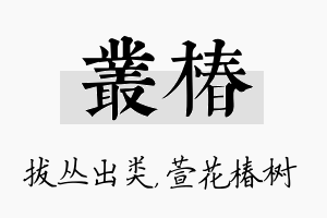 丛椿名字的寓意及含义