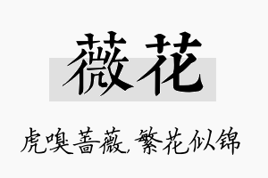 薇花名字的寓意及含义