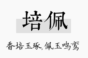 培佩名字的寓意及含义