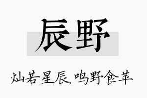 辰野名字的寓意及含义