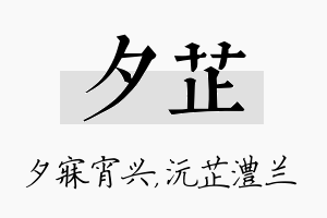 夕芷名字的寓意及含义