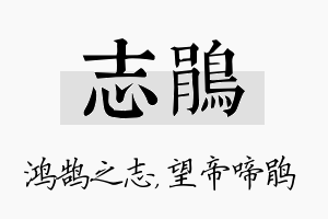 志鹃名字的寓意及含义