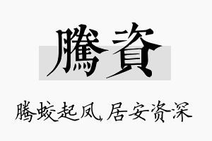 腾资名字的寓意及含义