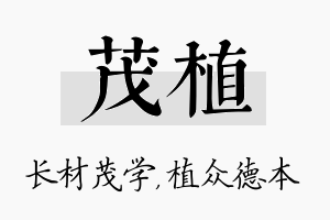 茂植名字的寓意及含义