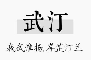 武汀名字的寓意及含义