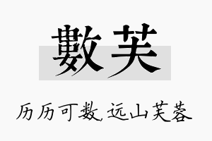 数芙名字的寓意及含义