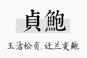 贞鲍名字的寓意及含义