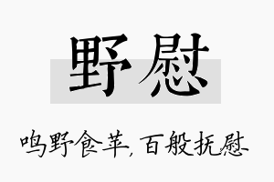 野慰名字的寓意及含义