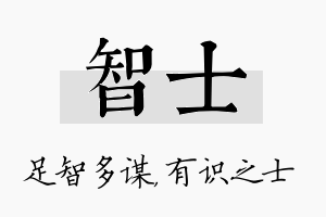 智士名字的寓意及含义