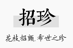 招珍名字的寓意及含义